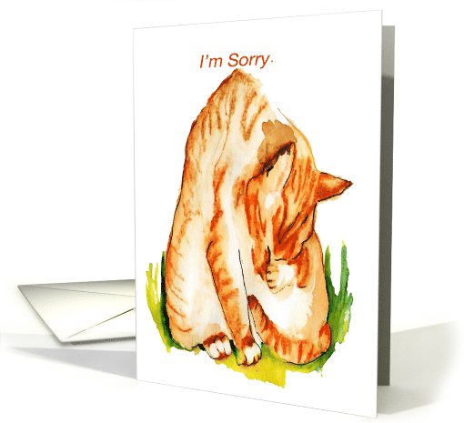 Occasion, I'm sorry, friendship, apology, sorry, faux pas, card