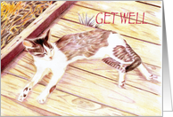 Get Well, kitty,...