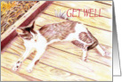 Get Well, kitty, resting, lounging card