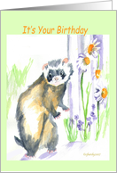 It’s your birthday, ferret, fence with daisies, outdoors, humorous text card
