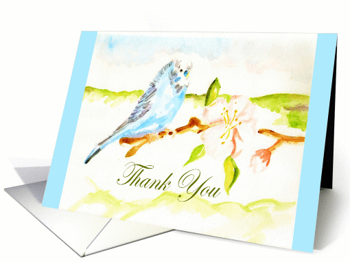 Thank you, budgie on apple branch, blue border card (876745)