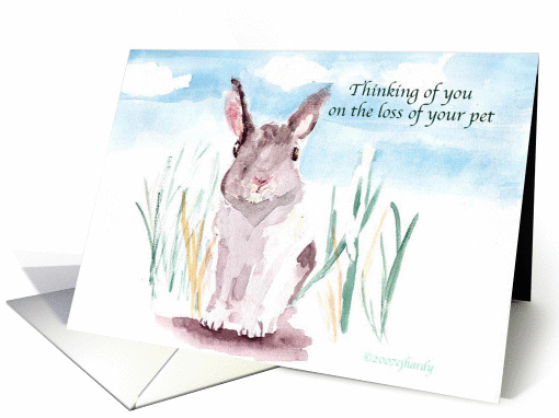Thinking of you on loss of your pet, rabbit in natural setting. card