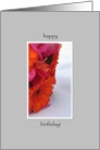 Happy Birthday Flowers Floral Bouquet Modern Photograph Pink Orange card