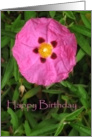 Happy Birthday Beautiful Pink Flower card