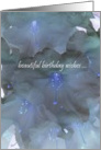 Beautiful Birthday Wishes Blue Flowers Modern Photograph card