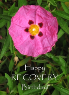 Recovery Happy...