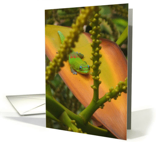 Gecko Lizard Island Hawaii Cute Get Well Soon Customize card (855679)