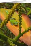 Gecko Lizard Island Hawaii Cute Get Well Soon Customize card