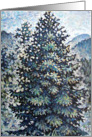 Evergreen blank card