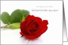 Sentimental Wife Wedding Anniversary With Red Rose card