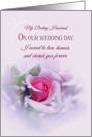 Sentimental Husband Wedding Anniversary, Honor, Pink Rose card