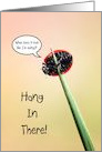 Funny Hang In There, Friend, Cute Ladbug Clinging To Blade Of Grass card