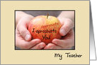 Cute Teacher Appreciation Apple For Teacher card