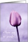 SIDS Sympathy - Loss of Baby - Lavender Tulip With Raindrop card