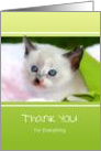 Thank You For Everything - Siamese Kitten Wrapped in Ribbon card