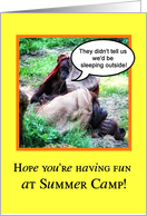 Funny Summer Camp, Orangutans Sleeping Outside Thinking of You card