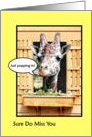 Funny Missing You, Cute Giraffe Just Popping In Through Window card
