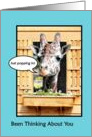 Funny Thinking Of You, Cute Giraffe Just Popping In Through Window card