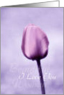 I Love You - Beautiful Woman - Lavender Tulip card