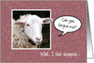 Forgive me - I Feel Sheepish - White Sheep - Humorous card