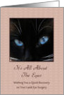 Lasik Eye Surgery - Quick Recovery - Blue Eyes - Siamese Cat card