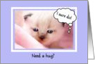 Cute Encouragement For Friend, Need A Hug? Siamese Kitten card