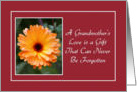 Encouragement - Grandmother’s Love - Orange Wild Flower card