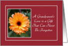 Encouragement - Grandparent Visitation - Orange Wildflower card