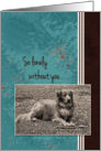 Lonely Without You - Wish You Were Here - Duck Tolling Retriever card