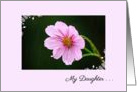Thinking of You Estranged Daughter Pink Cosmos In The Rain card
