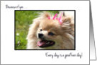 Funny Thank You Pet Grooomer - Cute Pomeranian Puppy card