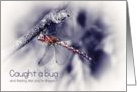 Humorous Get Well Soon Caught A Bug - Dragonfly Photograph card