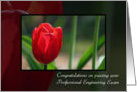 Congratulations On Passing Professional Engineering Exam Red Tulip card
