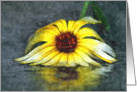 Crushed Yellow African Daisy In The Rain - Digital Water Color card