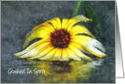 Clinical Depression Yellow Gerbera Daisy Flower Crushed In Spirit card