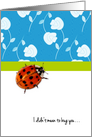 Spotted Ladybug I Didn’t Mean To Bug You Can You Forgive Me card