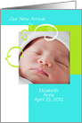 Springtime Fresh Photo Birth Annoucement card