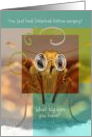 Get Well Soon On Your Detached Retina Surgery, Bug Eyed Butterfly card