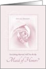 Will You Be My Maid Of Honor Delicate Pink Bridal Rose With Dew card