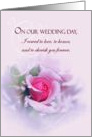 Sentimental Wedding Anniversary, Wedding Vows, Delicate Pink Rose card