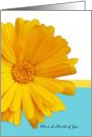 Thinking of You Makes Me Smile, Trendy Summer Blue And Yellow, Daisy card