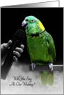 Cute Wedding Singer Invitatation, Parrot Singing Into Microphone card