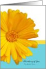 Thinking of You Birth Mom, Trendy Summer Blue And Yellow, Daisy card
