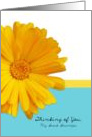 Thinking of You Great Grandpa, Trendy Summer Blue,Yellow, Daisy card