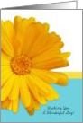 Wishing You A Wonderful Day, Trendy Summer Blue And Yellow Daisy card