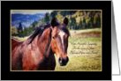 Sympathy For Loss of Beloved Pet Horse Beautiful Bay Mare card