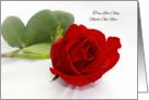 Marriage Proposal Will You Marry Me? Single Red Rose card