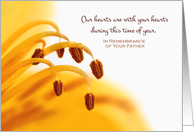 Anniversary Remembrance of Father With Yellow Lily Photograph card