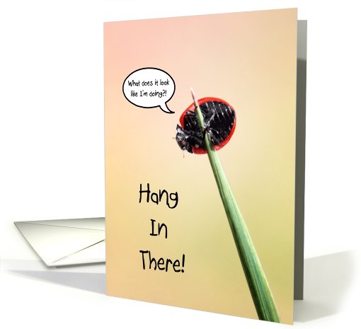 Funny Hang In There, Friend, Cute Ladbug Clinging To Blade... (804037)