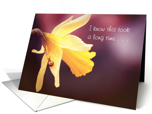 Snail Mail, Late Not Procrastination Thinking of You,... (804397)